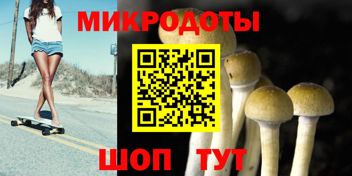 Псилоцибиновые грибы мухоморы  Вход с VPN  Галлюциногенные грибы GOLDEN TEACHER  Советск 