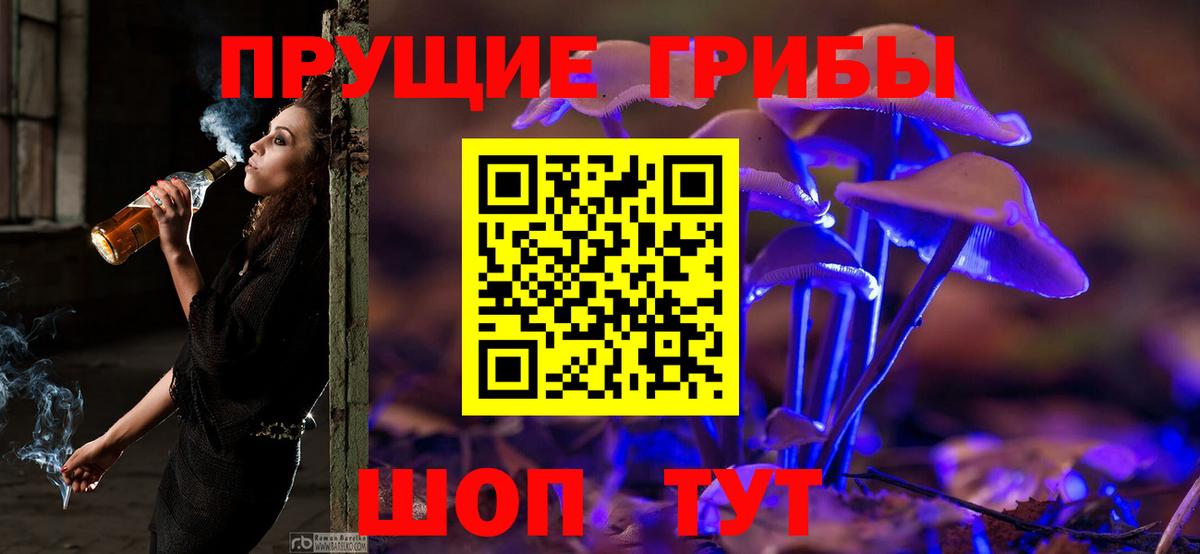 Галлюциногенные грибы MAGIC MUSHROOMS Советск